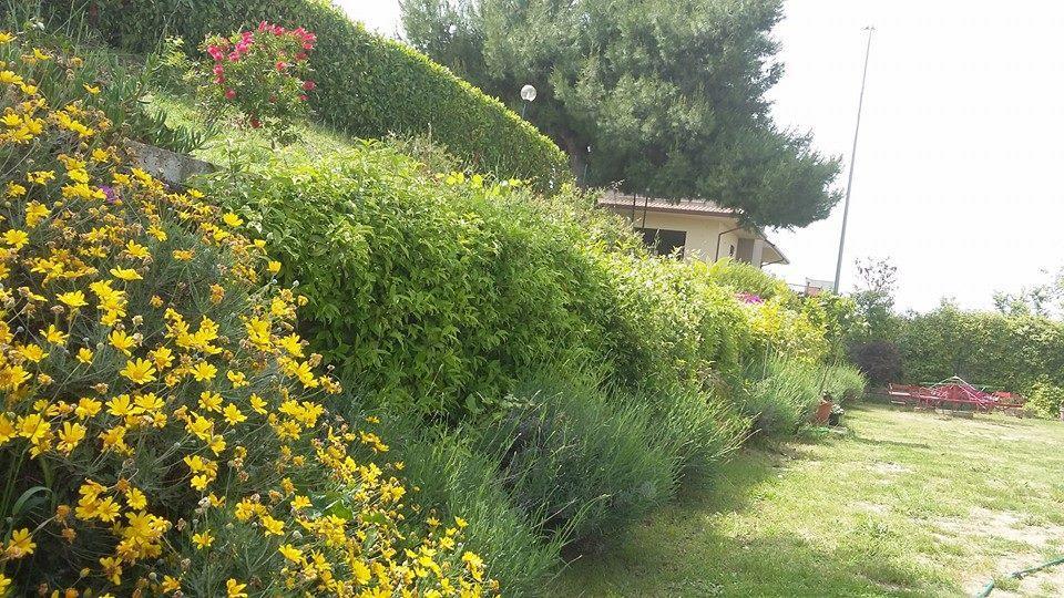La Casa Di Stefania Apartment Pollutri Exterior photo